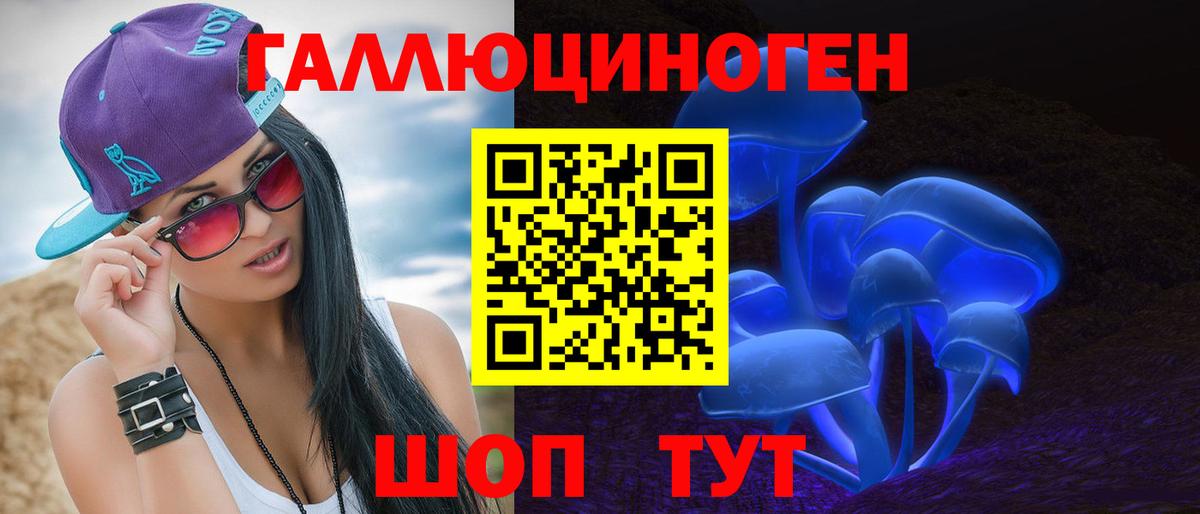 Галлюциногенные грибы Psilocybe Салехард